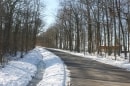 forêt de Montpensier D434